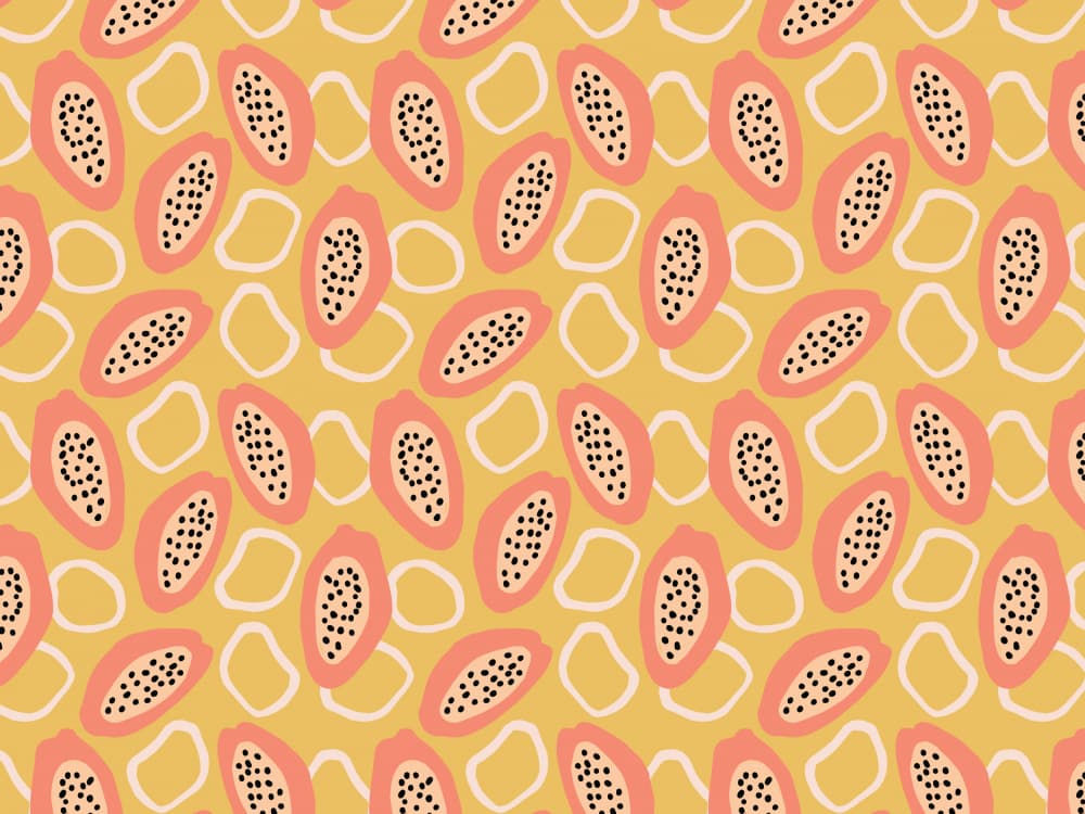 Tropical Slices by Treechild — canvas wall art