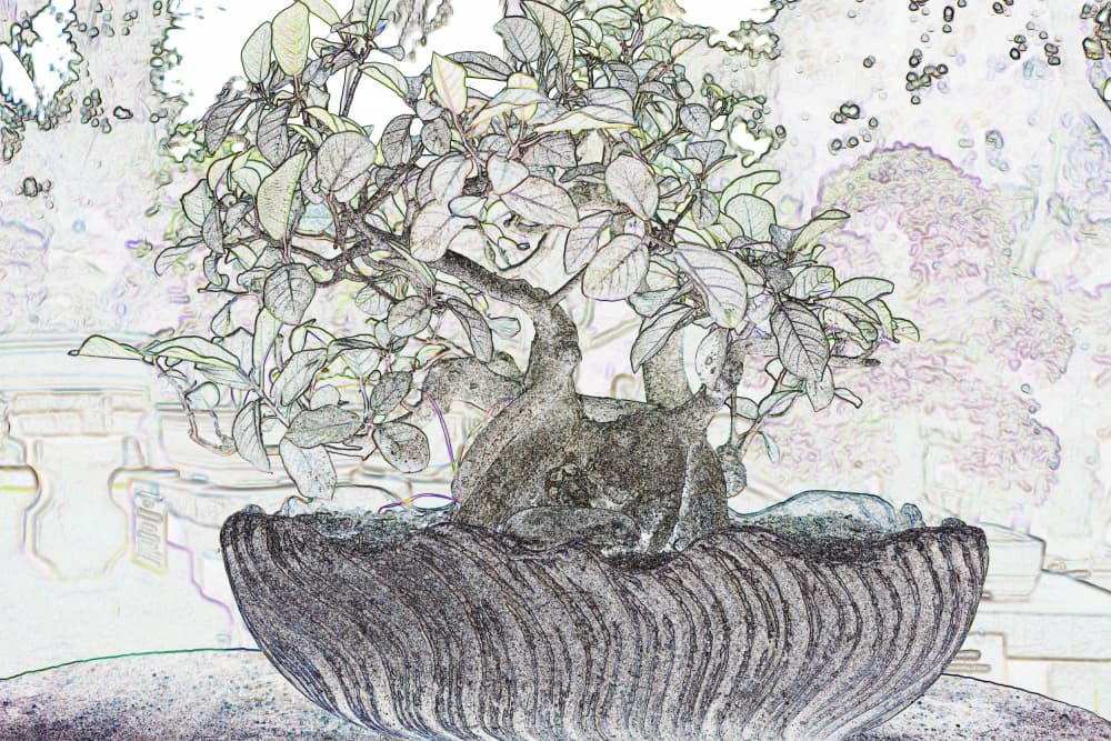Serene Bonsai Sketch by Santhosh ch — canvas wall art