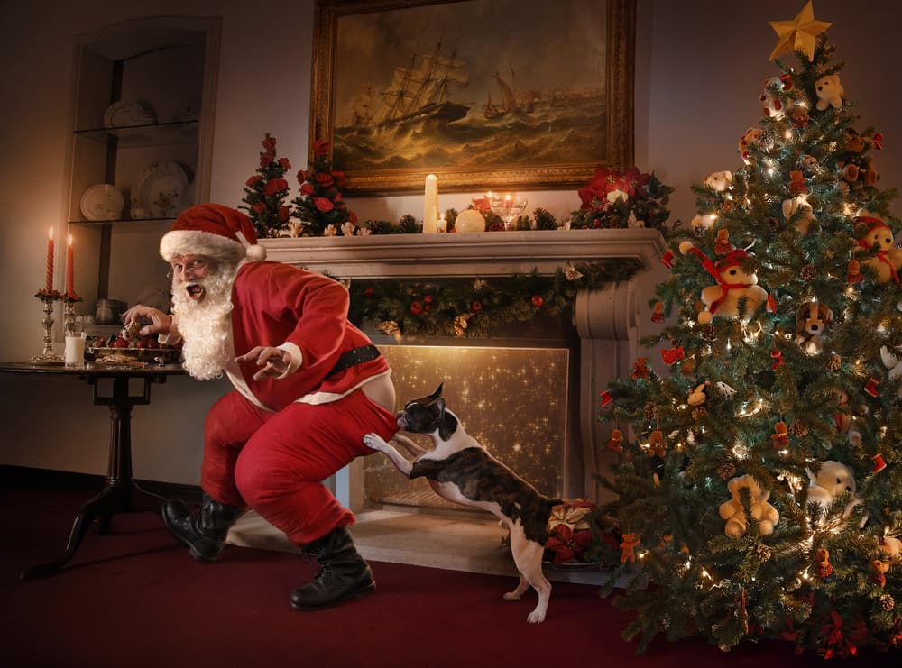 Naughty Dog Surprises Santa by DDiArte — canvas wall art