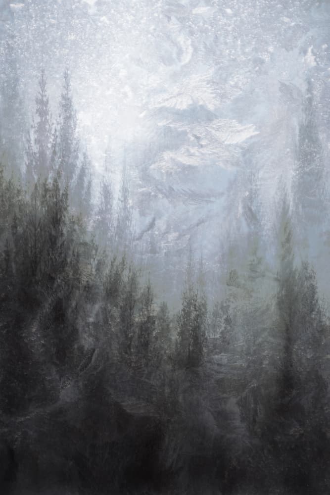 Misty Winter Forest by Christina Sillen — canvas wall art