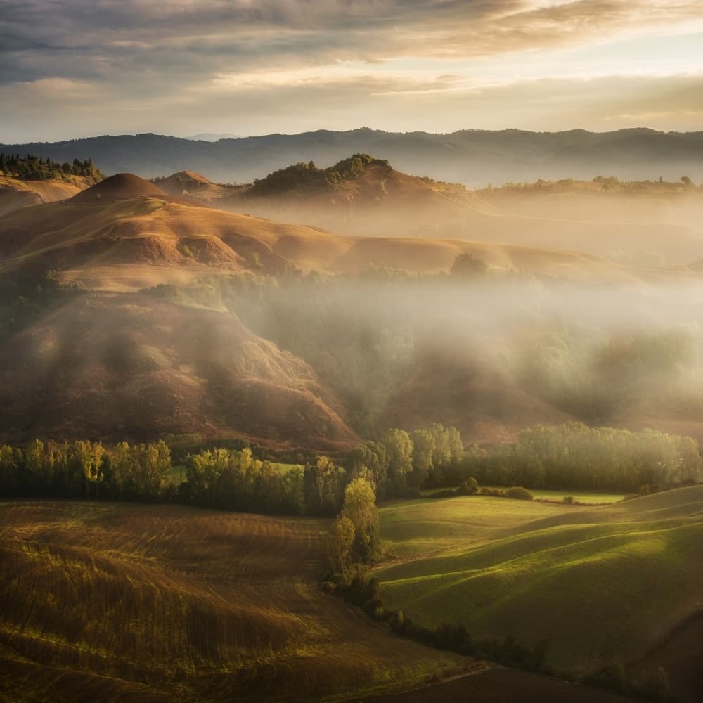 Misty Golden Hills by Jarek Pawlak — canvas wall art