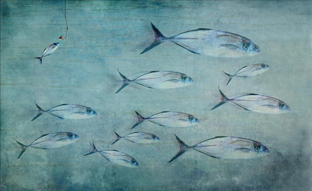 Small Fish Big Hook by Harry Wentworth — canvas wall art