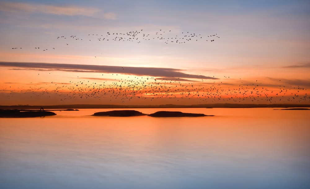 Serene Sunset Flight by Piotr Krol (Bax) — canvas wall art