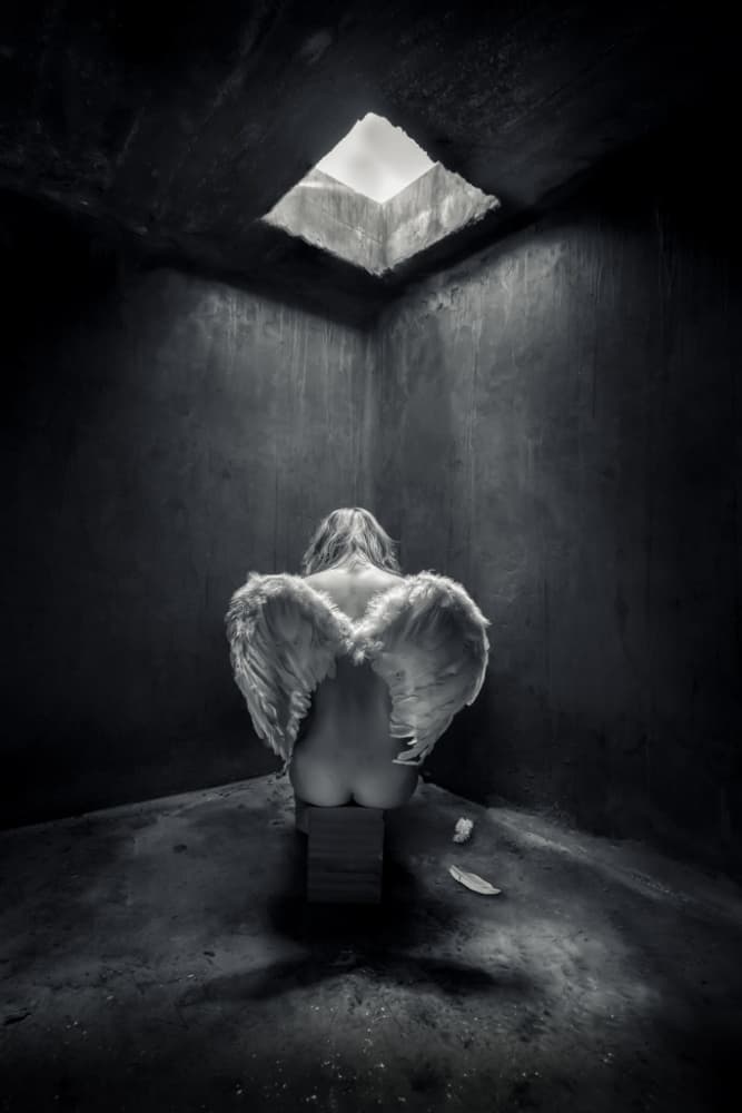 Angel Seeking Light by Petar Lupic — canvas wall art