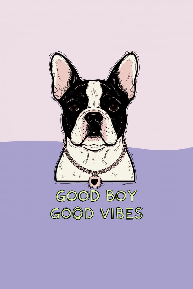 Good Boy Good Vibes by casa cartissi — canvas wall art