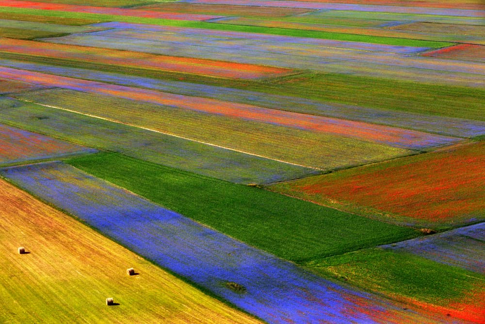Colorful Fields Patchwork by Massimo Della Latta — canvas wall art