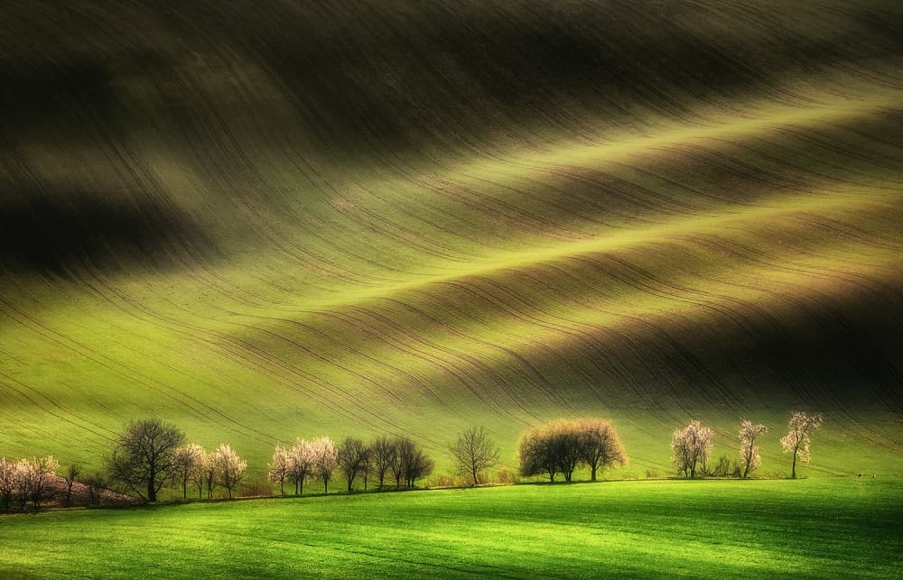 Sunlit Spring Hills by Piotr Krol (Bax) — canvas wall art
