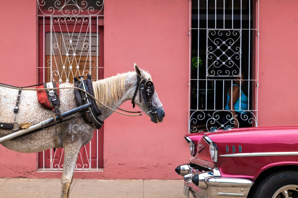 Horse and Pink Classic Car by Ali Khataw — canvas wall art