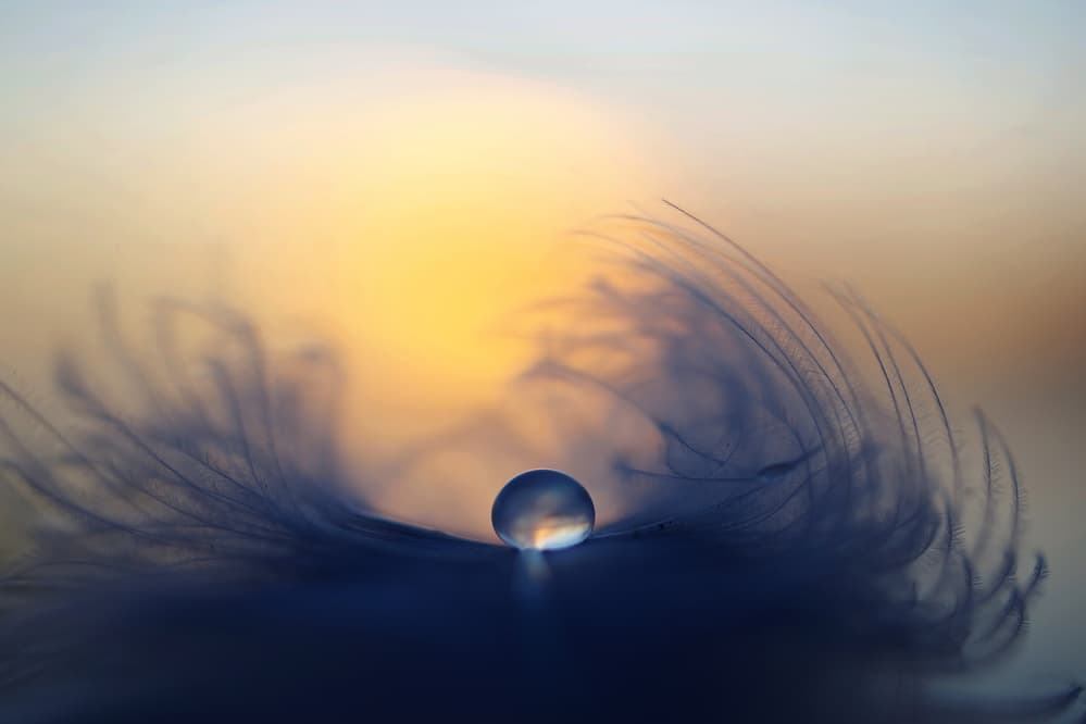 Delicate Droplet Glow by Peep Loorits — canvas wall art