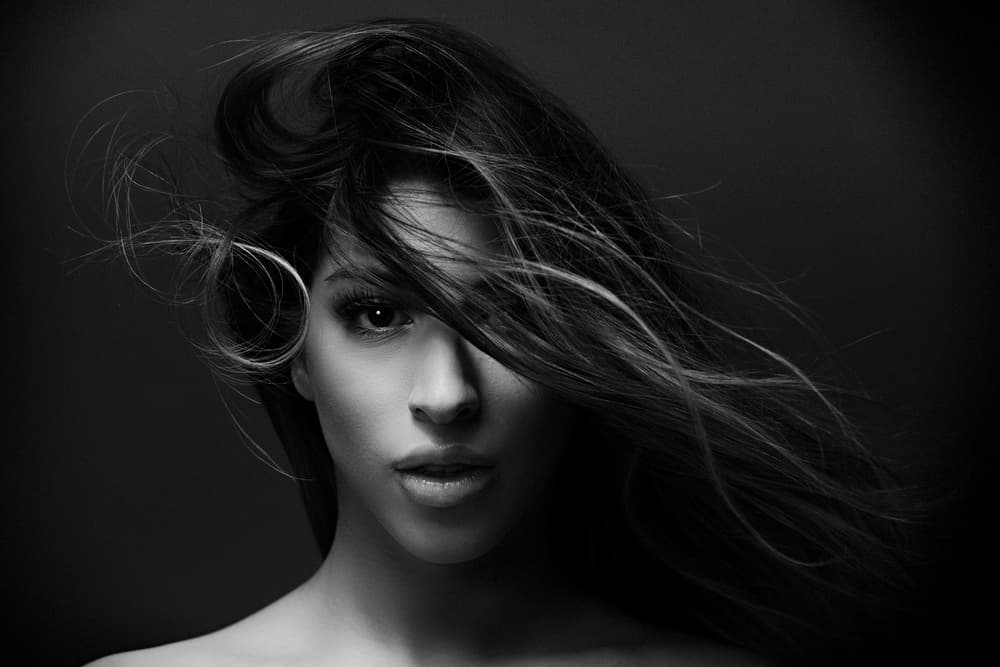 Windswept Beauty by Howard Ashton-Jones — canvas wall art