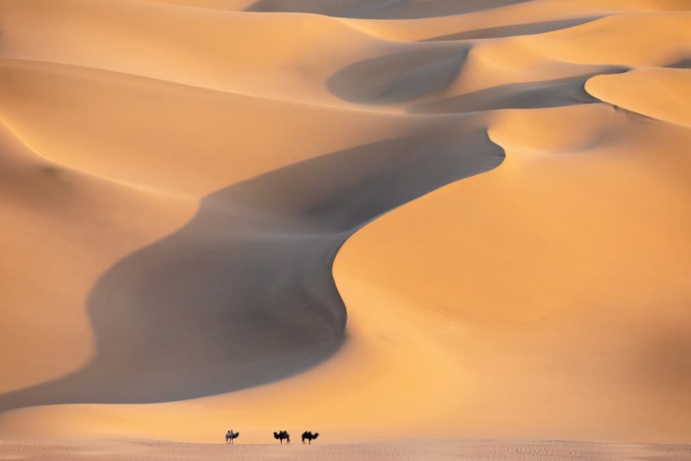 Golden Desert Dunes by Hsiao-Yang Fei — canvas wall art