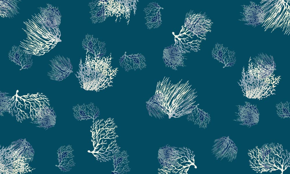 Abstract Ocean Corals by cartissi — canvas wall art