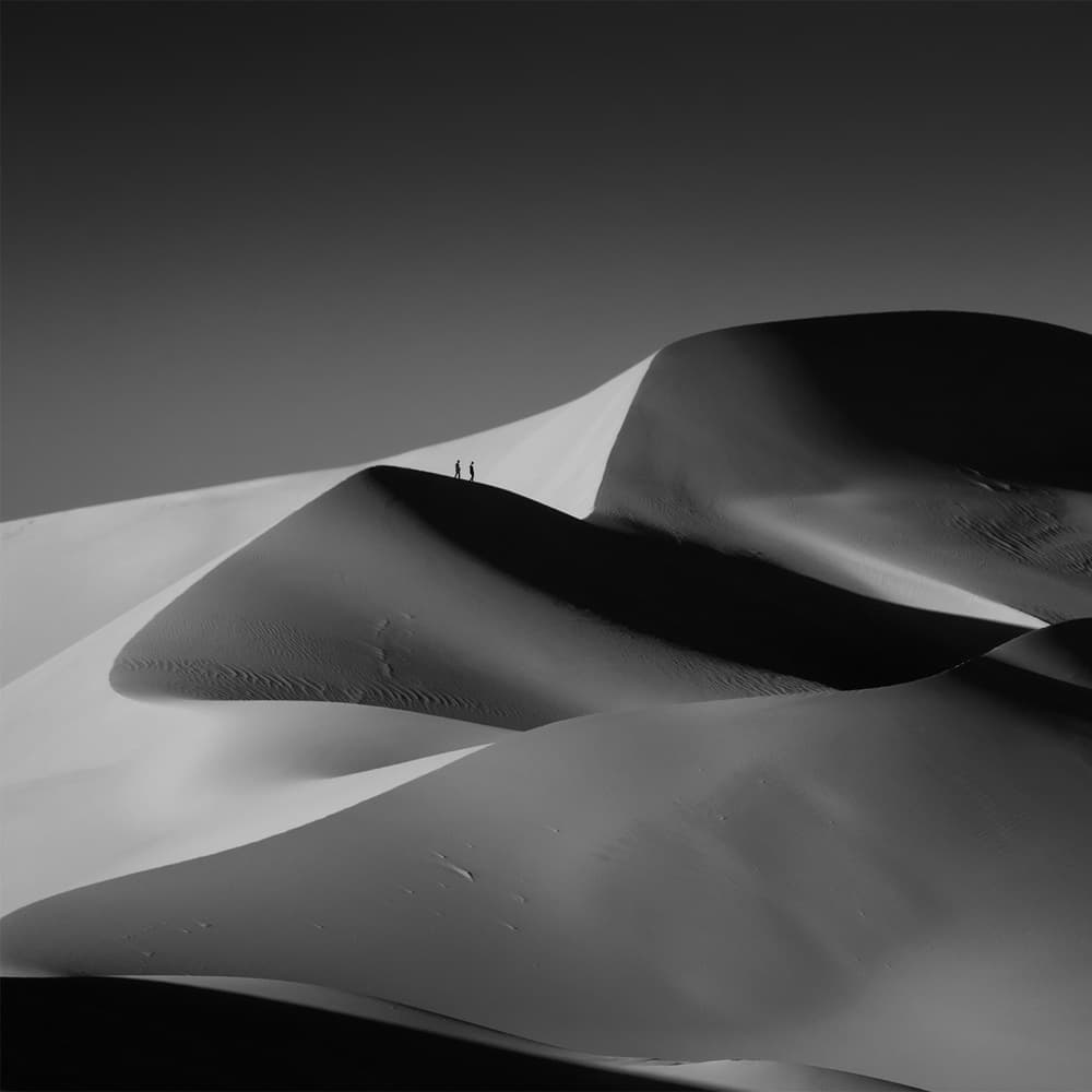 Desert Sands Journey by Bingo Z — canvas wall art