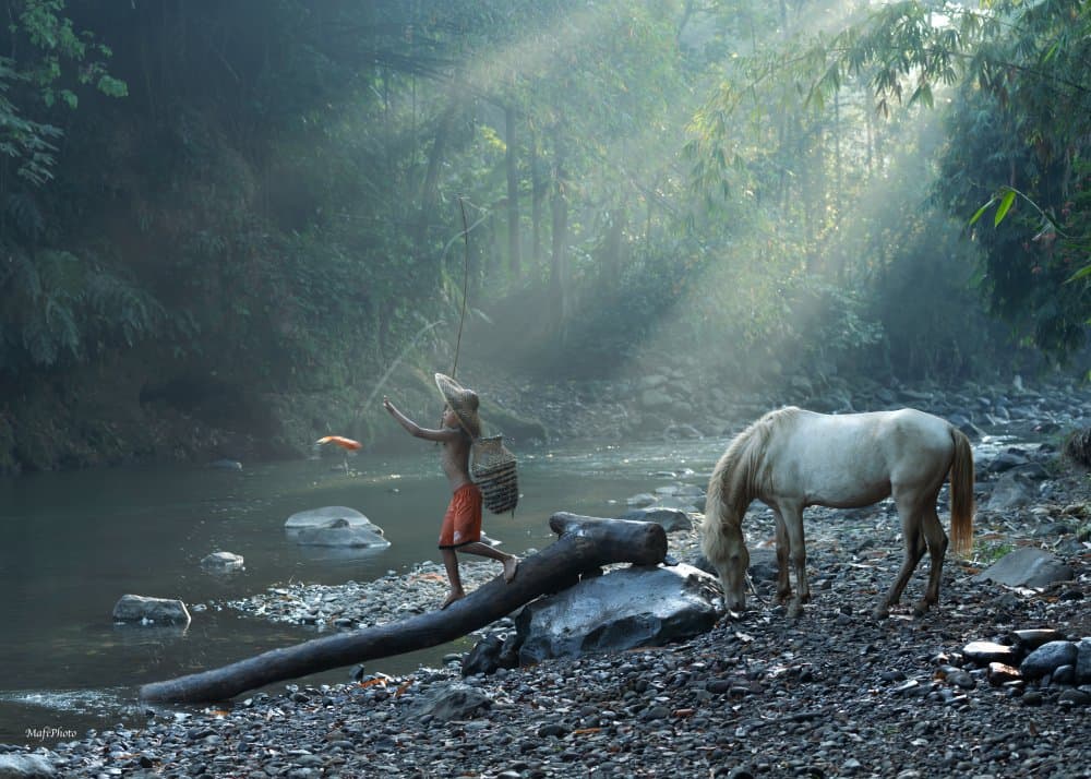 Misty River Morning by Magdalena Fifi — canvas wall art