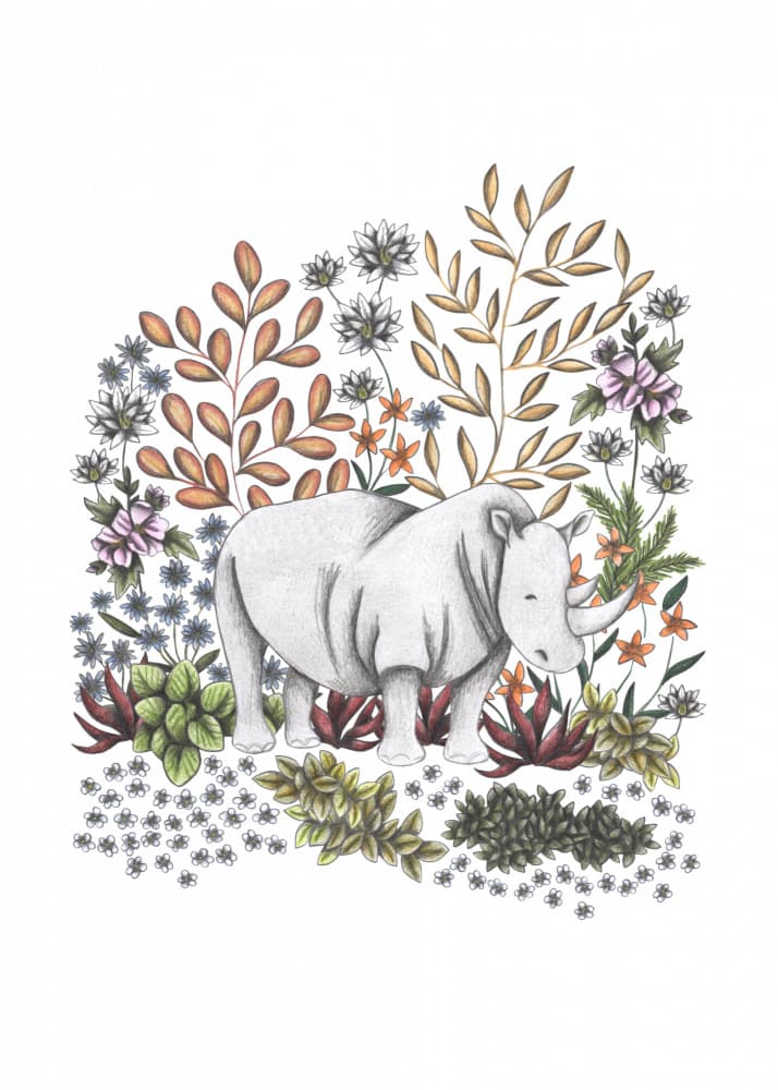 Gentle Jungle Rhino by Cecilia Battaini — canvas wall art