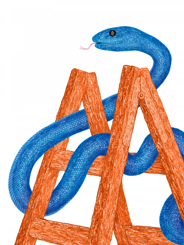 Snake Climbing Ladder by Martina Scott — canvas wall art
