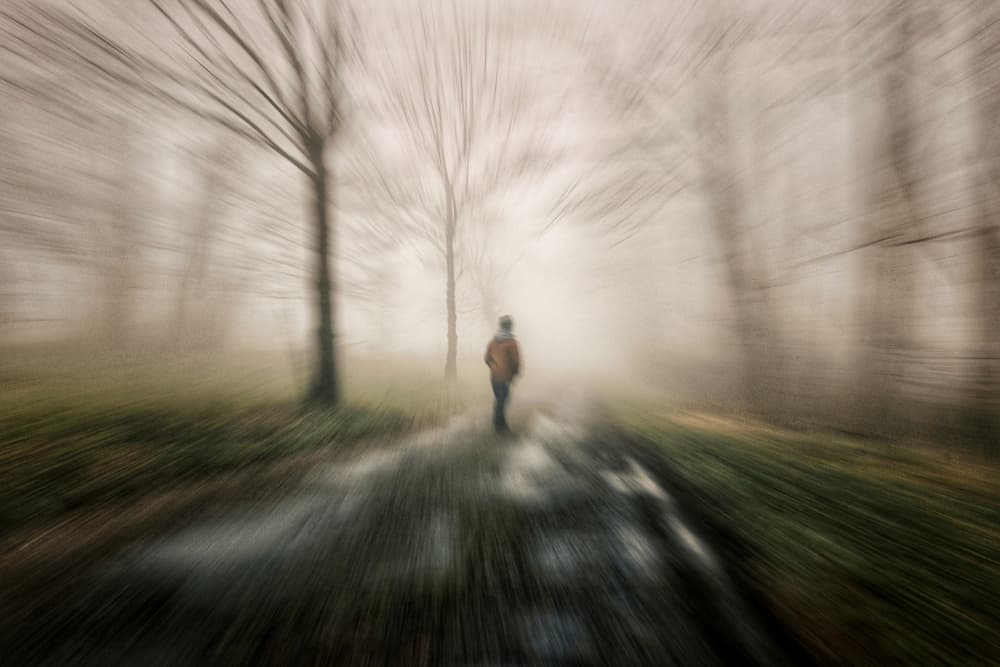 Walking Through The Mist by Robert Kuavi — canvas wall art