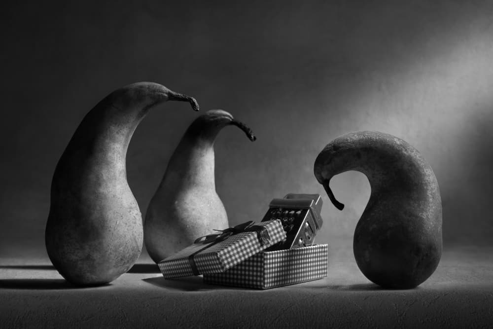 Curious Pear Gift by Victoria  Glinka — canvas wall art