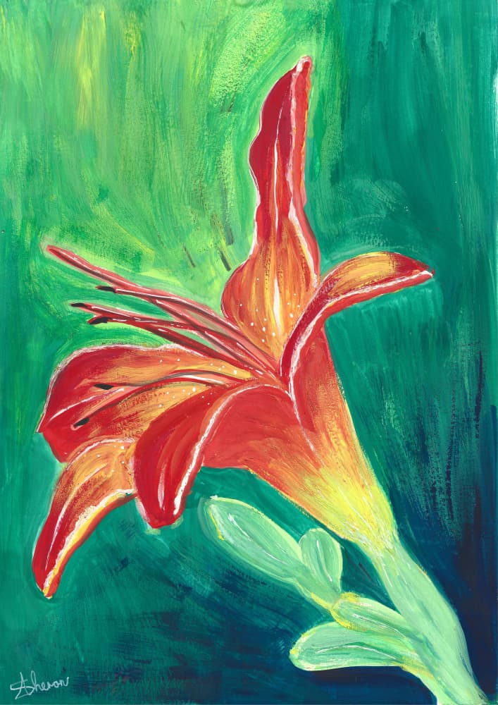 Vibrant Orange Lily by Sunet Theron — canvas wall art