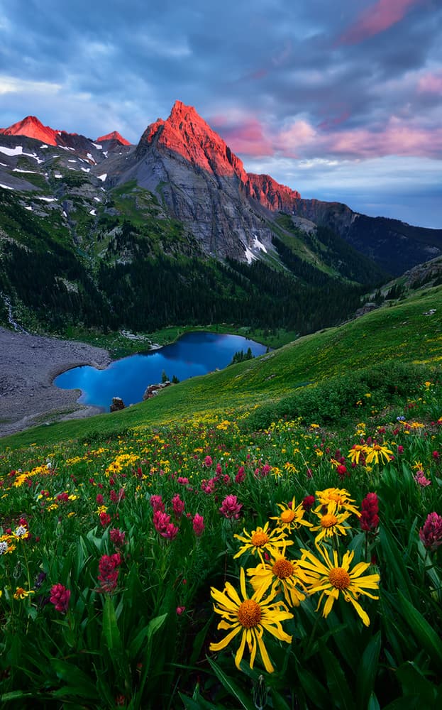 Sunset Mountain Wildflowers by Mei Xu — canvas wall art