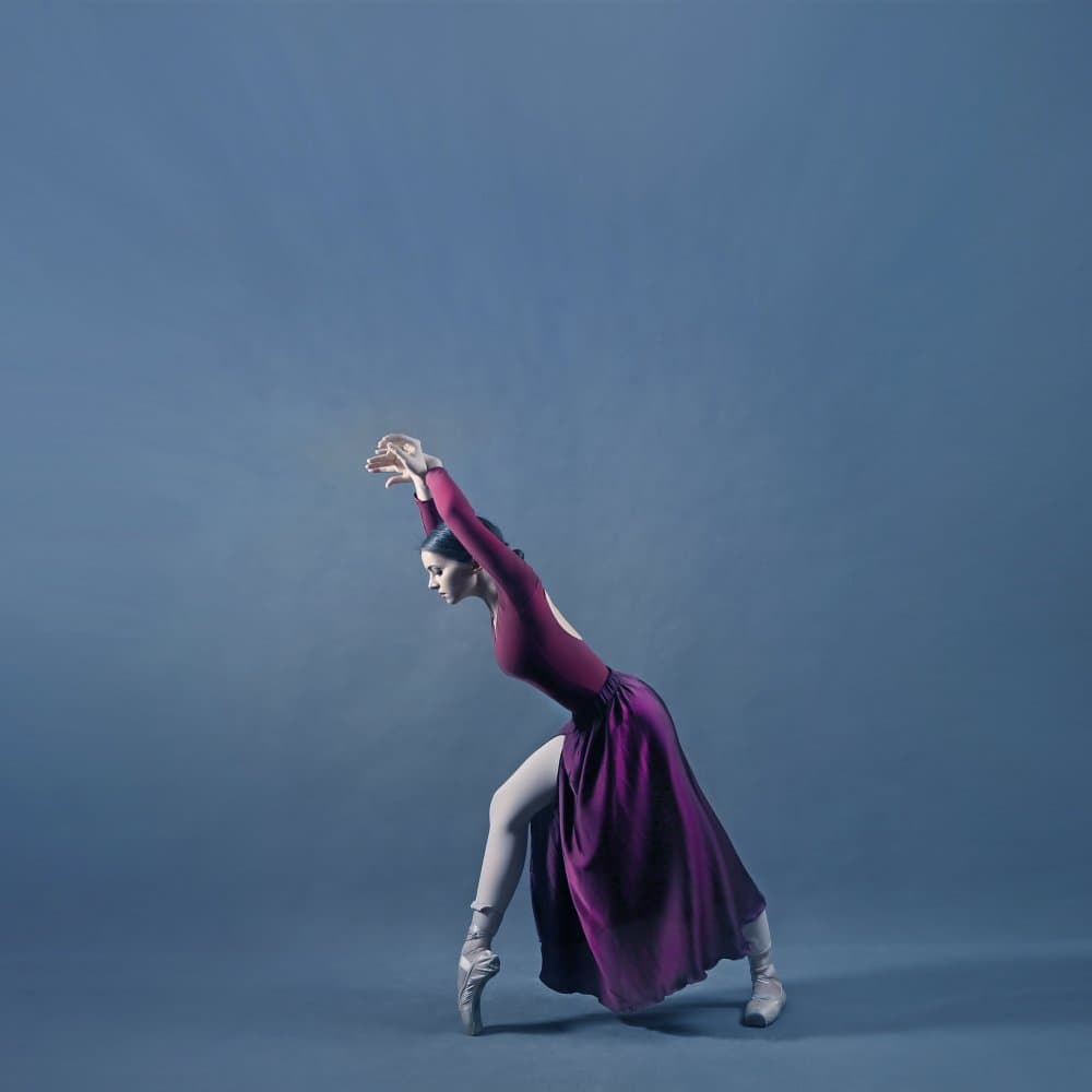 Graceful Ballerina Pose by Moein Hasheminasab — canvas wall art