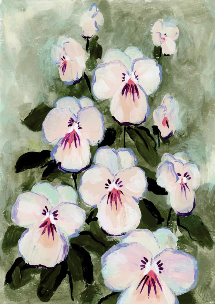 White Pansy Garden by Rosana Laiz Blursbyai — canvas wall art
