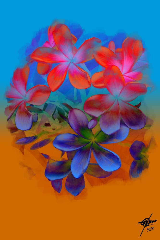 Florida by Osvaldo Russo — canvas wall art