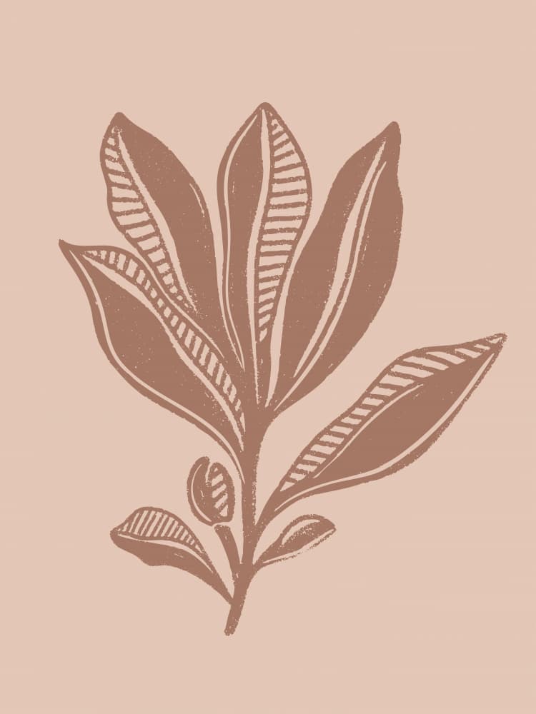 Natural Botanical Drawing by Nikita Jariwala — canvas wall art