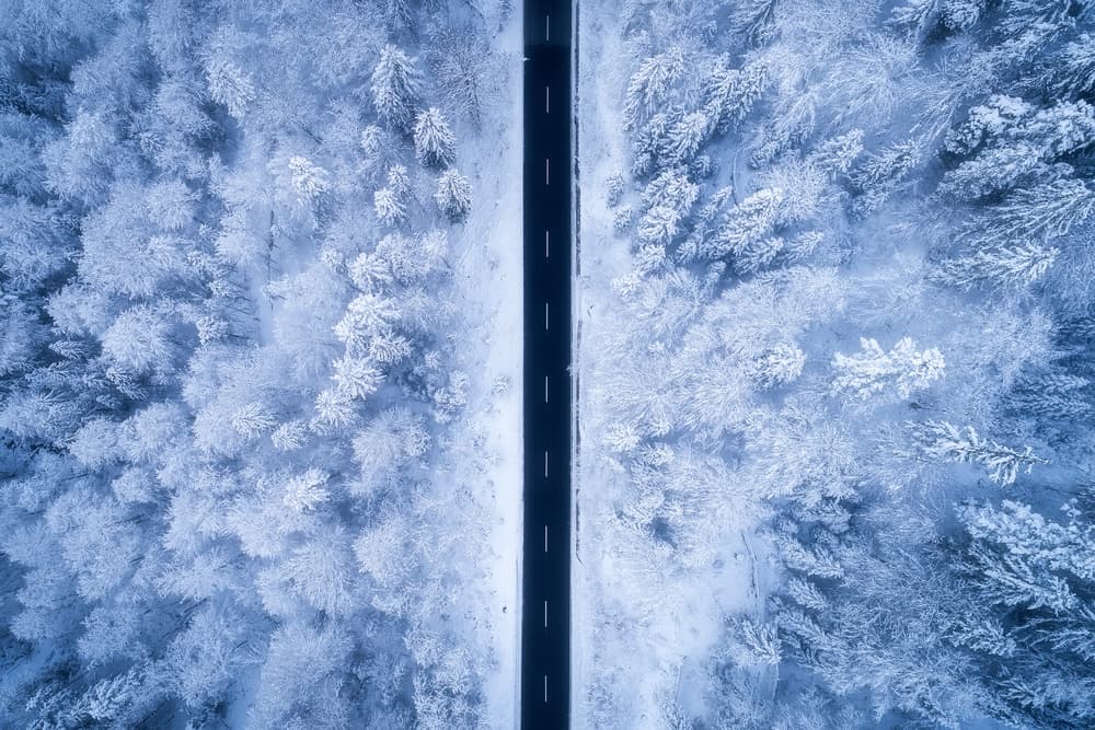 Snowy Forest Road by Daniel Gastager — canvas wall art