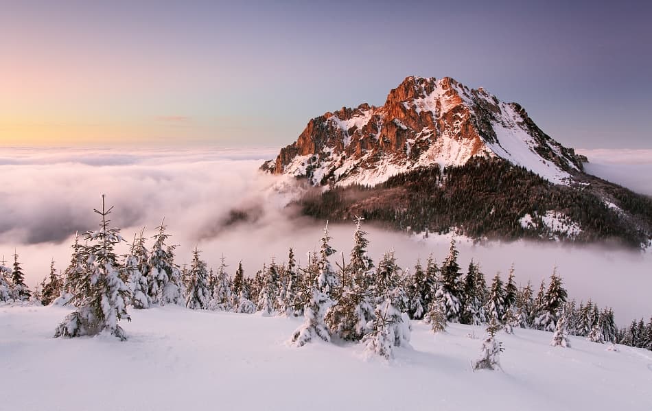 Golden Mountain Sunrise by Tomas Sereda — canvas wall art