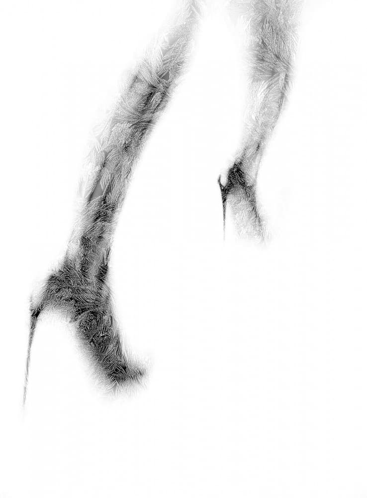 Shattered Stiletto Heels by Erik Schottstaedt — canvas wall art