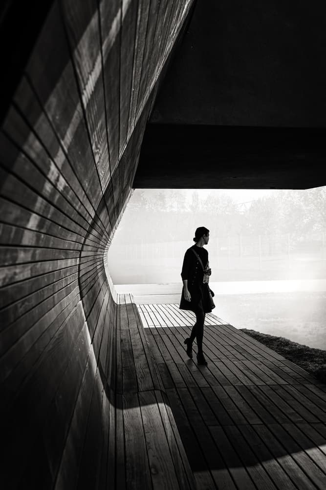 Solitude on Curved Wood by Ute Scherhag — canvas wall art