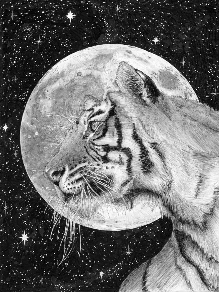 Moon and Tiger Original by EC Mazur — canvas wall art