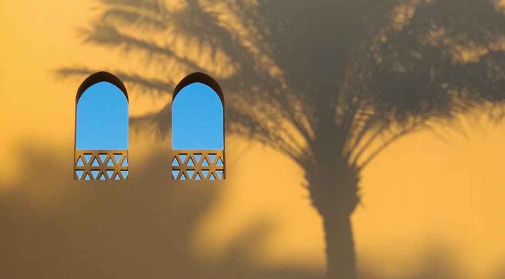 Palm Shadow Arches by Dmitry Stepanov — canvas wall art