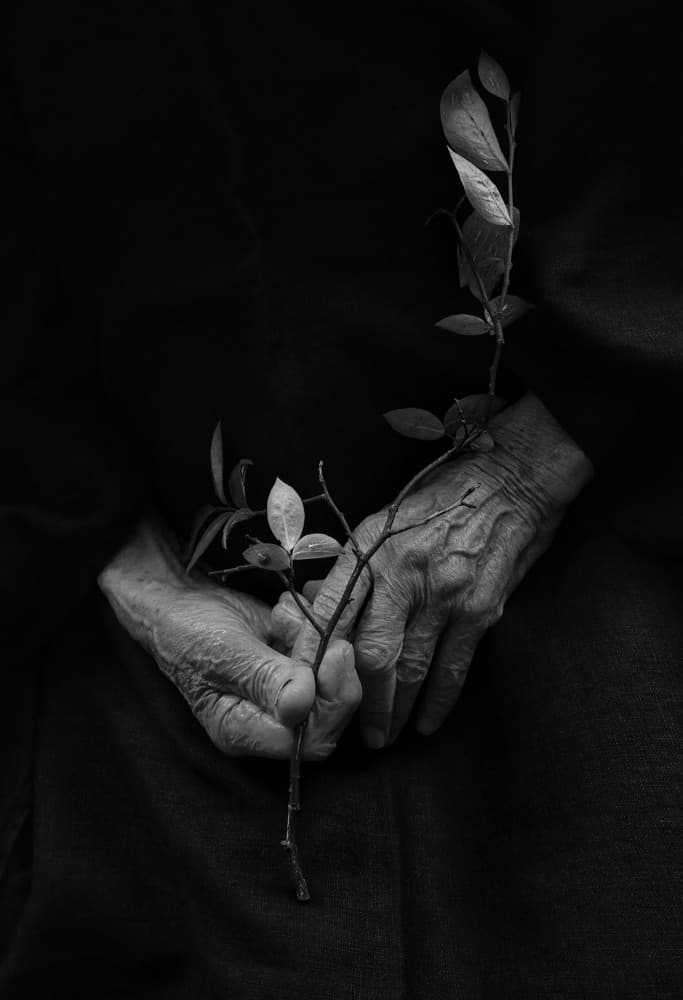 Old Hands New Life by Ingrida Urbonavičienė — canvas wall art