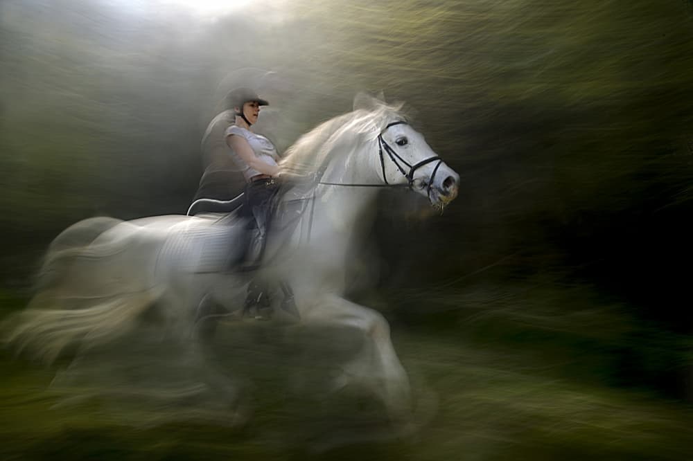 Galloping White Horse by Milan Malovrh — canvas wall art