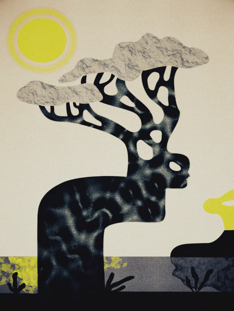 Sunlit Spirit Tree by Luca di Napoli — canvas wall art