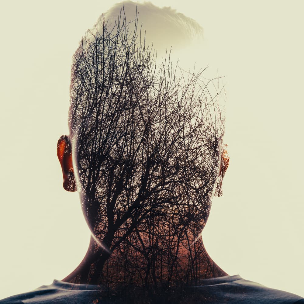 Forest of Thought by Robert Kuavi — canvas wall art
