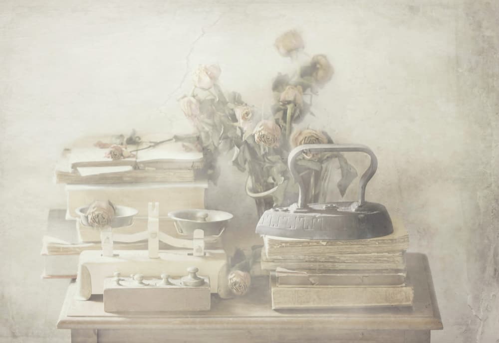 Soft Faded Still Life by Delphine Devos — canvas wall art