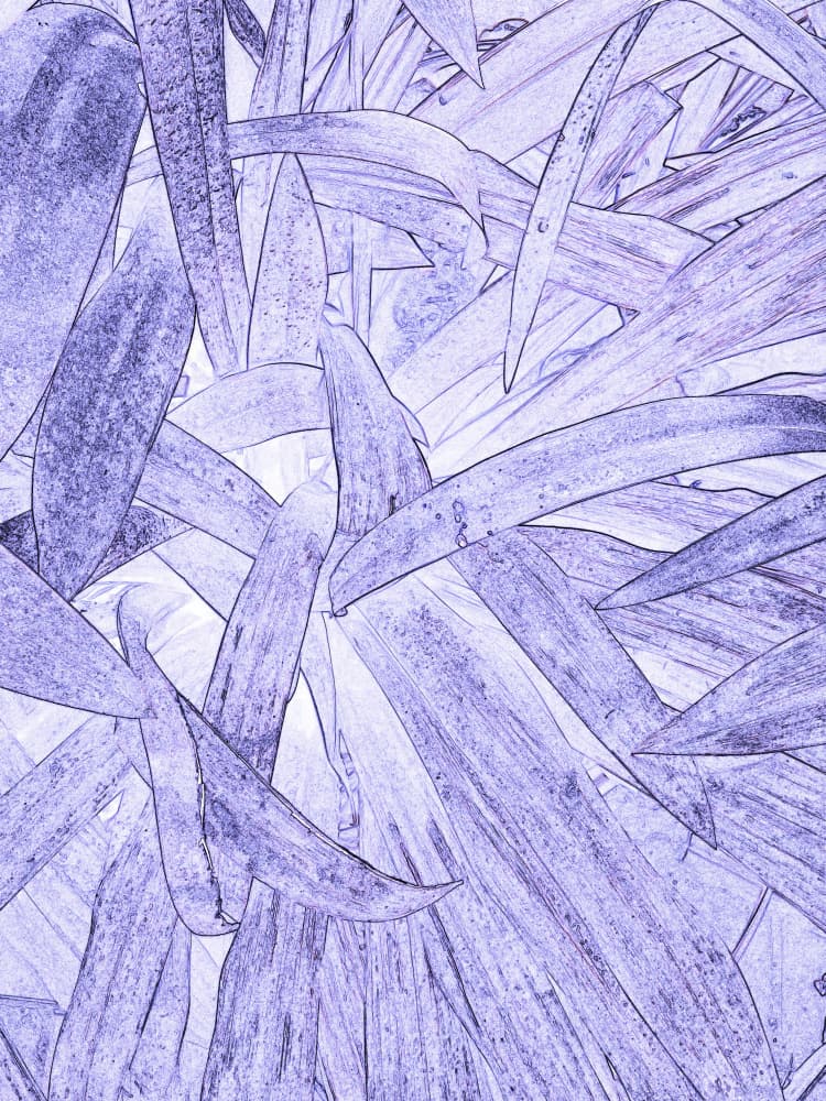 Abstract Lavender Leaves by Santhosh ch — canvas wall art