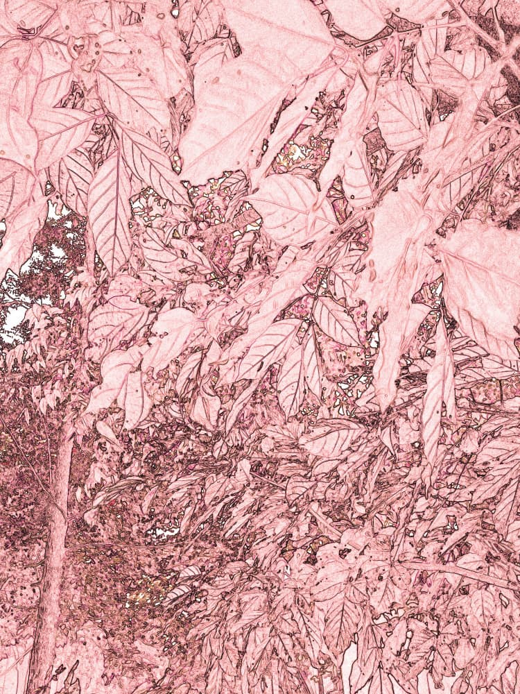 Abstract Pink Foliage by Santhosh ch — canvas wall art