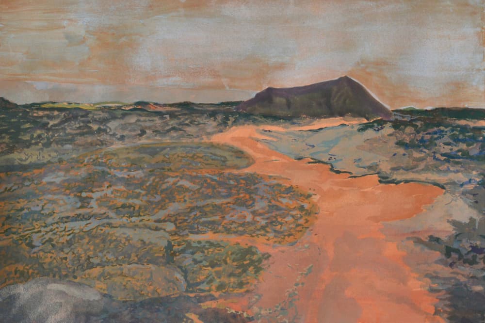 Orange River Valley by Karin Bos — canvas wall art