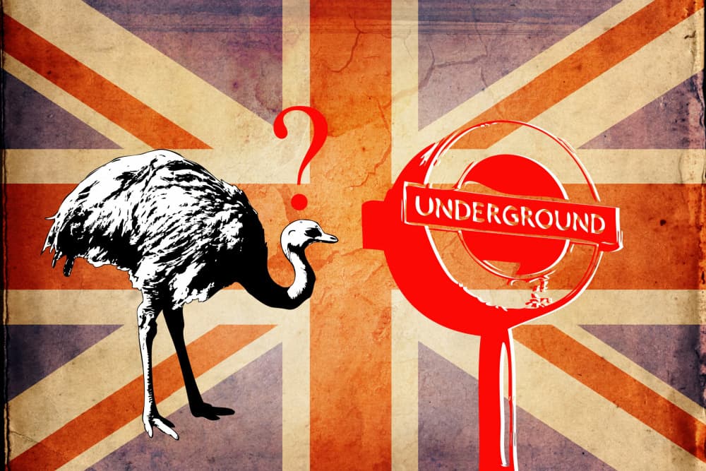 Ostrich London Question by Rafal Kulik — canvas wall art