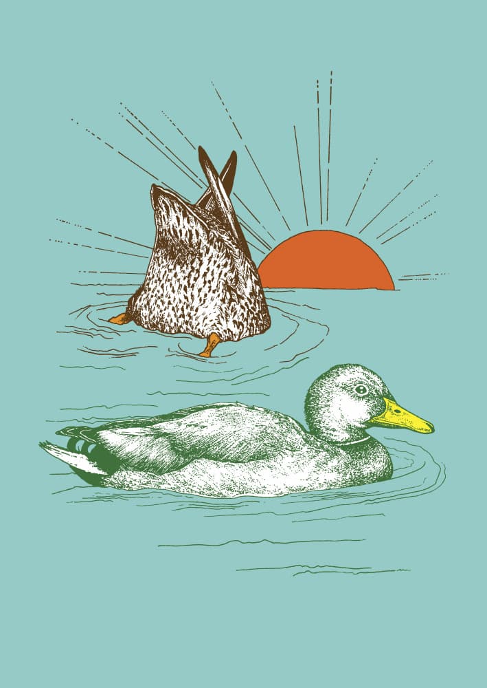 Ducks in Peaceful Water by Katariina Kosunen — canvas wall art
