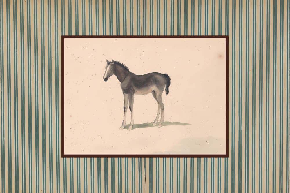 Gentle Foal Portrait by The Art Concept — canvas wall art