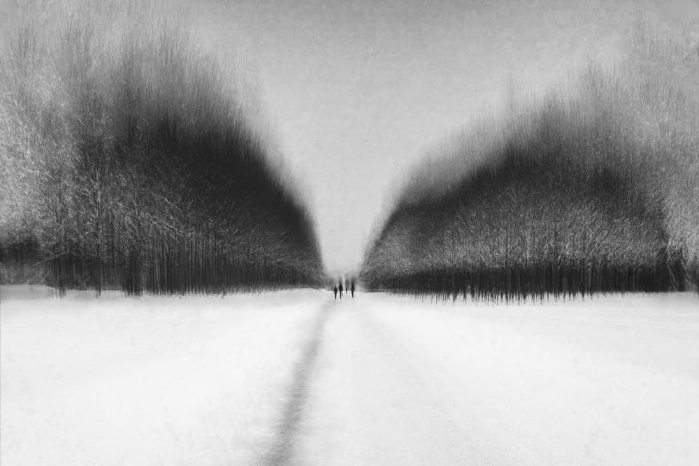 Blurred Winter Walk by Roswitha Schleicher-Schwarz — canvas wall art