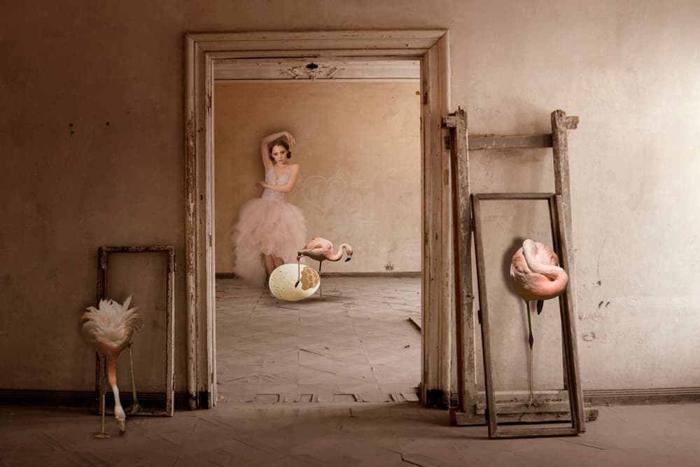 Flamingo Ballet Dream by Christine von Diepenbroek — canvas wall art