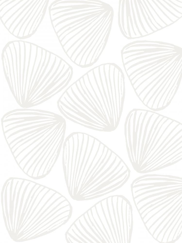 Organic Shell Patterns by Elizabeth C — canvas wall art
