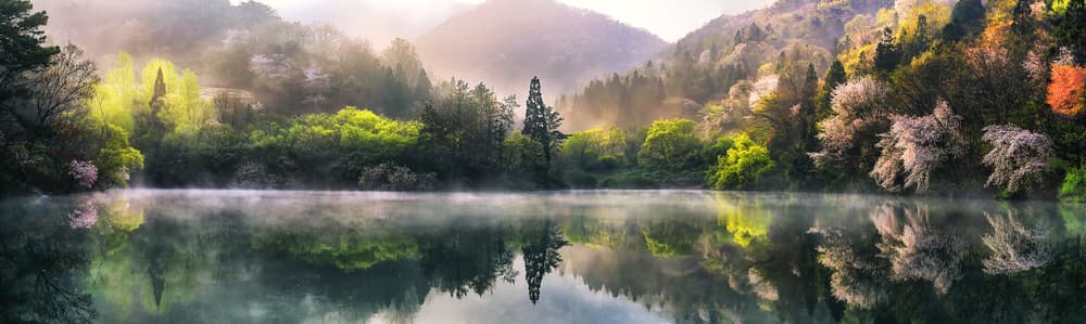 Misty Spring Lake Reflection by Tiger Seo — canvas wall art