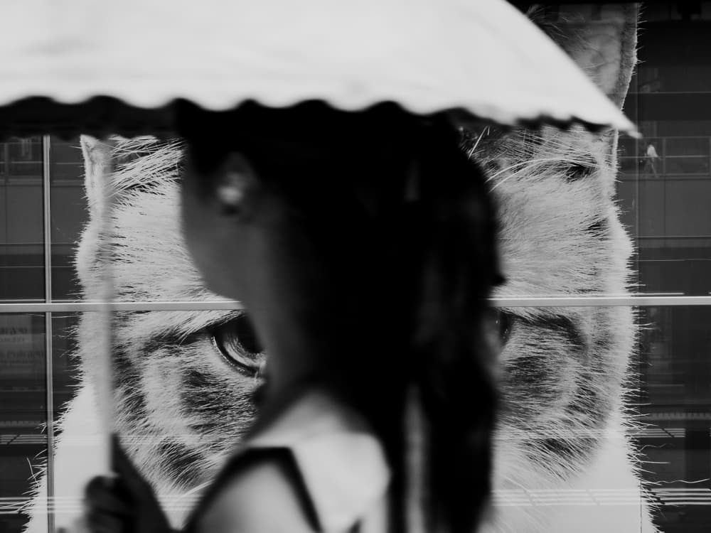 Woman and Giant Cat Eye by Ryoga Otake — canvas wall art